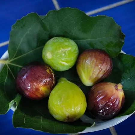 Amaranto Casa de hóspedes 4*