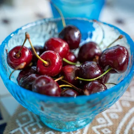 Casa de hóspedes Amaranto