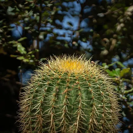 Amaranto Casa de hóspedes 4*