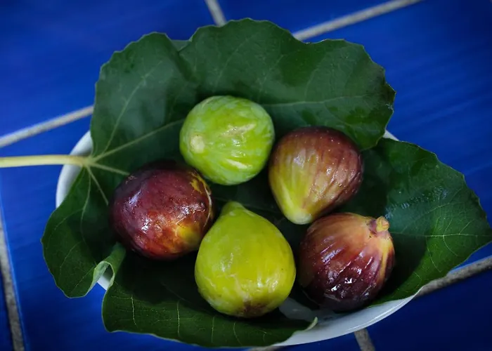 Amaranto Gasthuis 4*