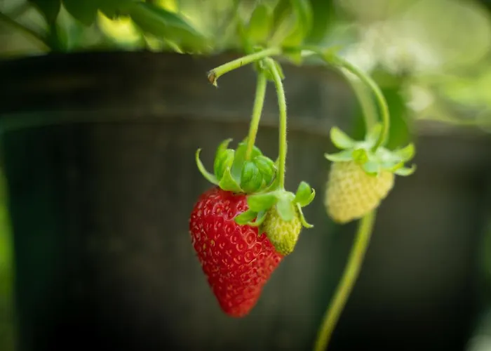 게스트하우스 Amaranto