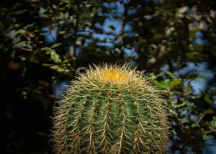 Amaranto 게스트하우스 4*